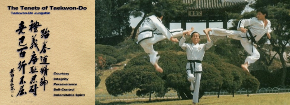 TaeKwon-Do 4